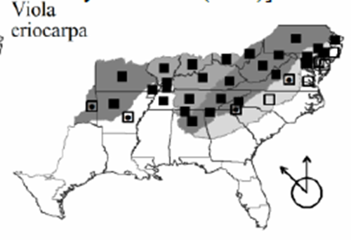 The range of Viola eriocarpa